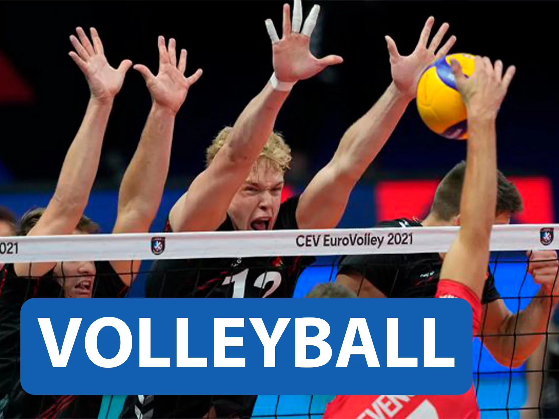 Watch live streamings and bet on vollayball at Betcity.