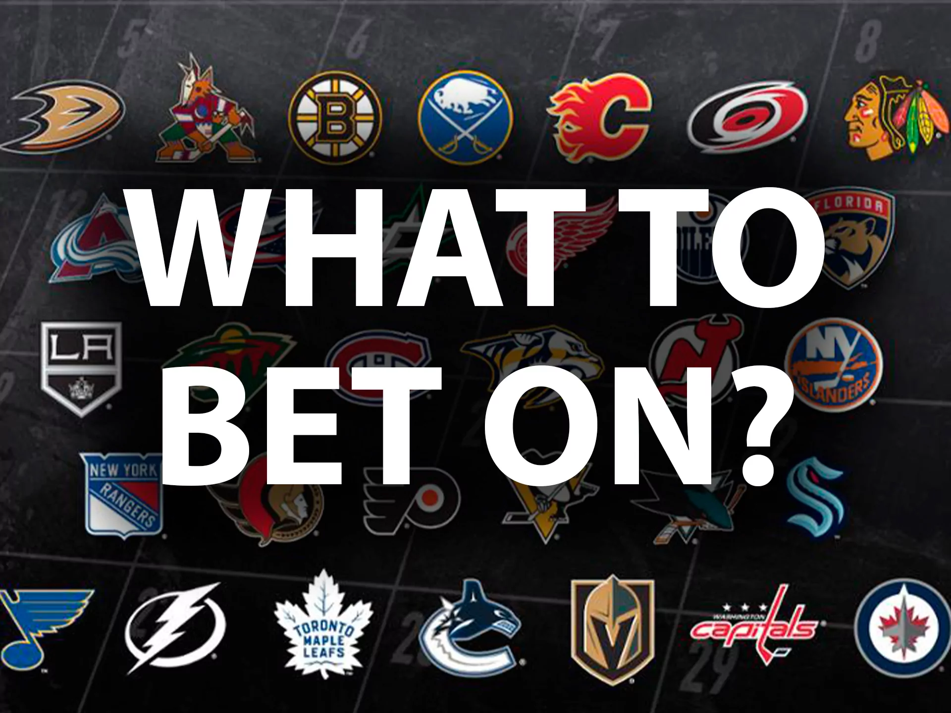 All the best hockey leagues are available for betting at Betcity.